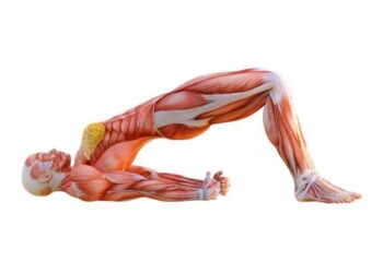 5 Effective Lower Back Stretches to Alleviate Pain and Improve Flexibility