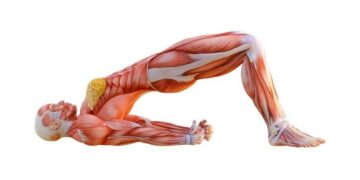 5 Effective Lower Back Stretches to Alleviate Pain and Improve Flexibility