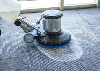 How to Extend the Life of Your Carpets with Professional Cleaning Services