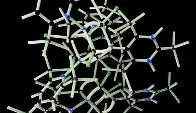 An Ultimate Guide To Peptide Synthesis