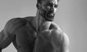 Unraveling Gigachad: The Anatomy of a Viral Phenomenon and Its Social Echoes