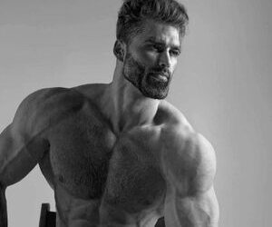 Unraveling Gigachad: The Anatomy of a Viral Phenomenon and Its Social Echoes