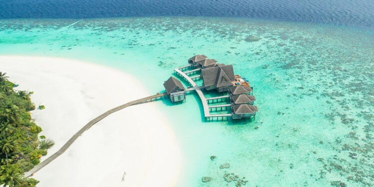 Why is Camano Island In Washington the Best Spot to Chill?